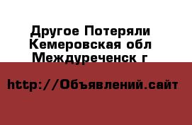 Другое Потеряли. Кемеровская обл.,Междуреченск г.